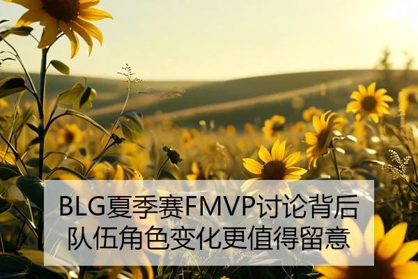 BLG夏季赛FMVP讨论背后 队伍角色变化更值得留意